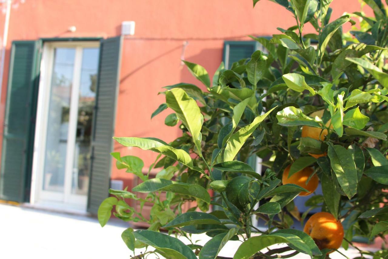 Aeroporto Bellini Rooms CTA Exterior foto